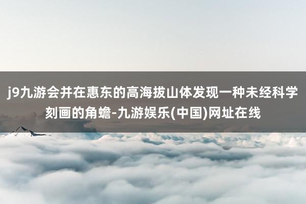 j9九游会并在惠东的高海拔山体发现一种未经科学刻画的角蟾-九游娱乐(中国)网址在线