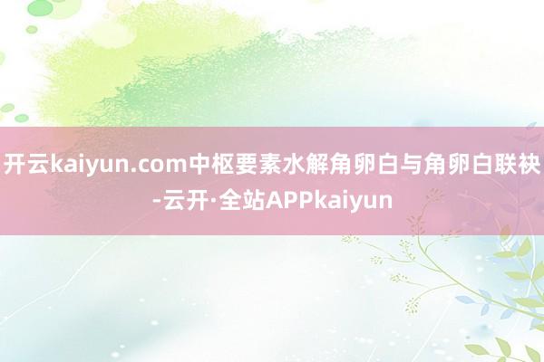 开云kaiyun.com中枢要素水解角卵白与角卵白联袂-云开·全站APPkaiyun