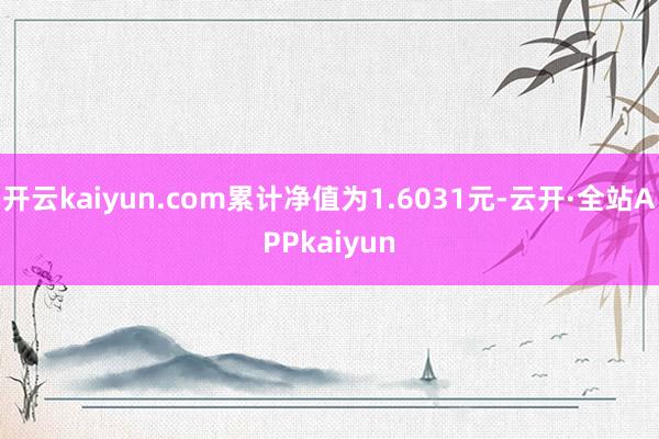 开云kaiyun.com累计净值为1.6031元-云开·全站APPkaiyun