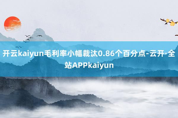 开云kaiyun毛利率小幅裁汰0.86个百分点-云开·全站APPkaiyun