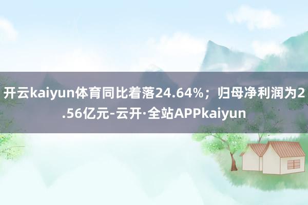 开云kaiyun体育同比着落24.64%；归母净利润为2.56亿元-云开·全站APPkaiyun