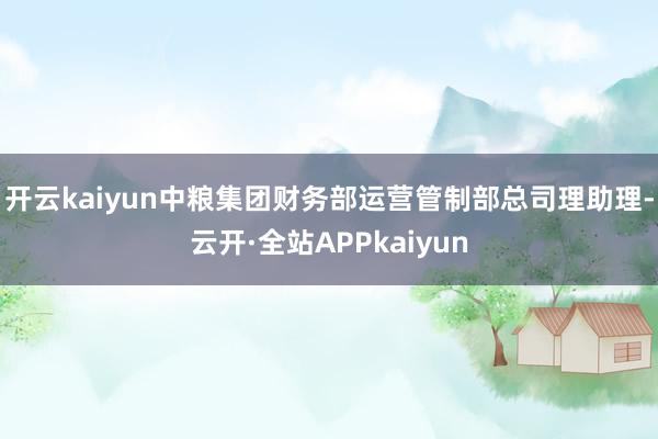 开云kaiyun中粮集团财务部运营　　管制部总司理助理-云开·全站APPkaiyun