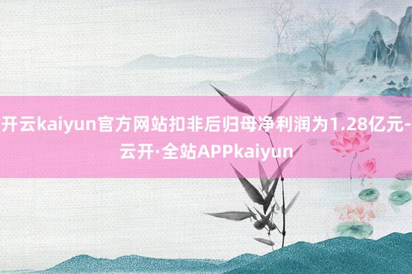 开云kaiyun官方网站扣非后归母净利润为1.28亿元-云开·全站APPkaiyun