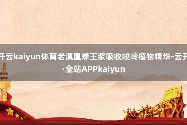开云kaiyun体育老滇凰蜂王浆吸收峻岭植物精华-云开·全站APPkaiyun